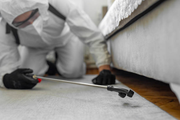 Professional Bed Bug Control technician working in South Boston, VA