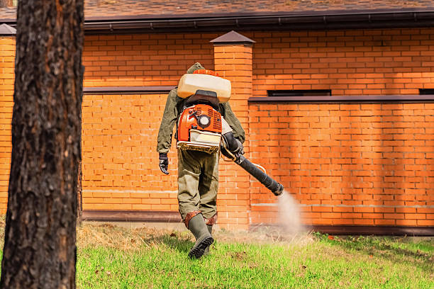 Trusted Rodent Control service in South Boston, VA - Nex Pest Control